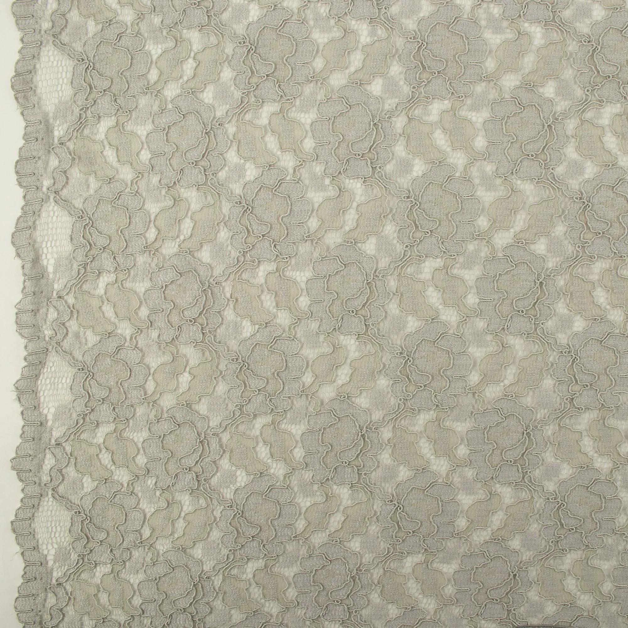 Corded lace - VIRGINIA - Sage
