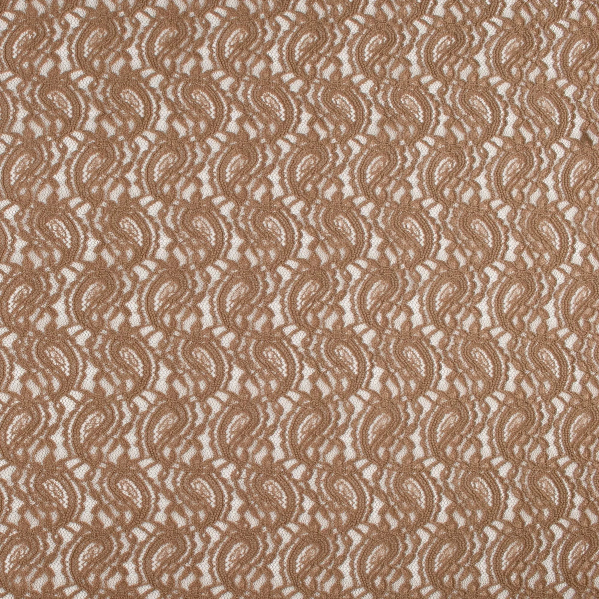 Fashion Lace - ROSEMARIE - 008 - Camel