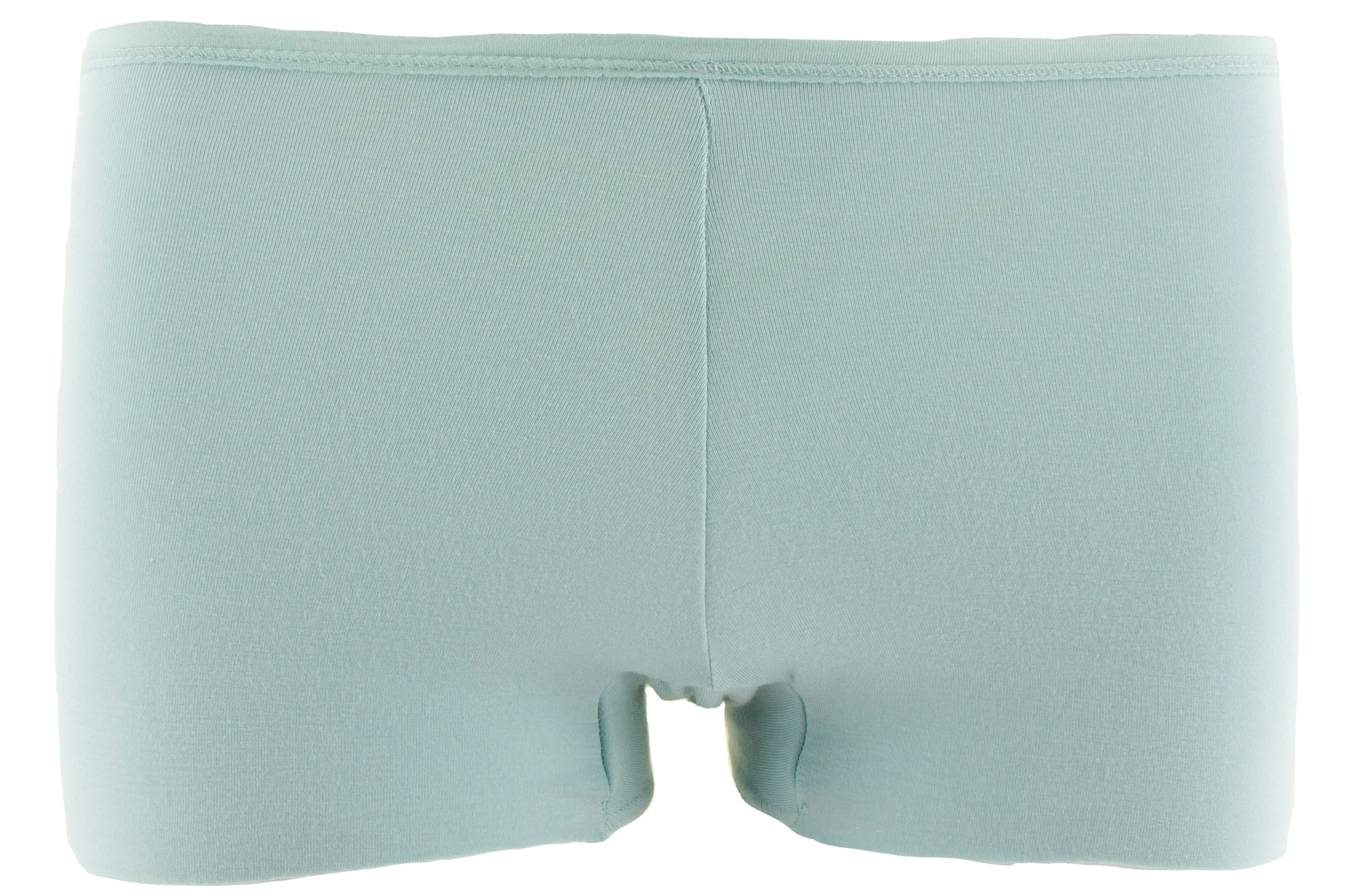 KicKee Pants Women's Solid Boy Short Underwear-Spring Sky